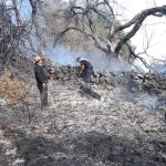 Incendio forestal arrasa con tres hectáreas de pastos naturales en Huancho Lima