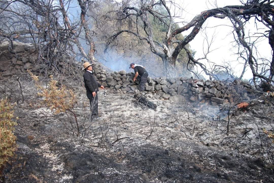 Incendio forestal arrasa con tres hectáreas de pastos naturales en Huancho Lima